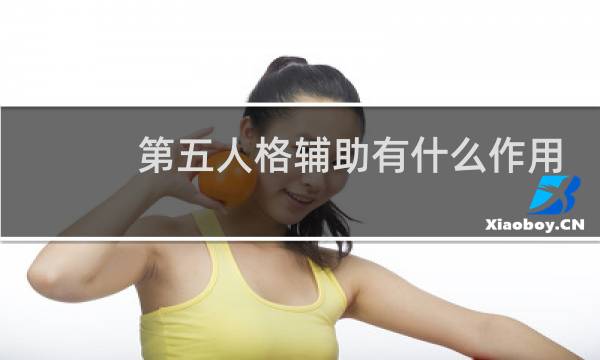 第五人格辅助有什么作用