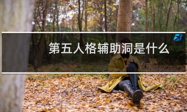 第五人格辅助洞是什么