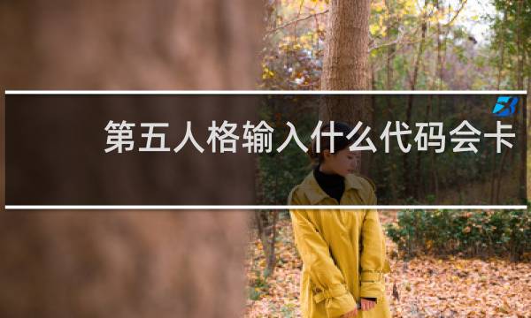 第五人格输入什么代码会卡