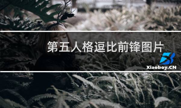 第五人格逗比前锋图片
