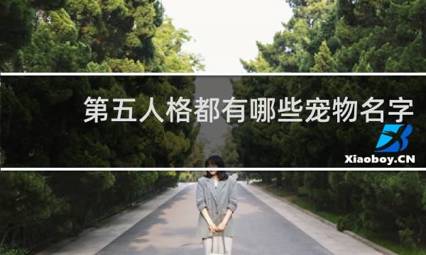 第五人格都有哪些宠物名字