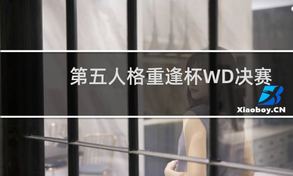 第五人格重逢杯WD决赛
