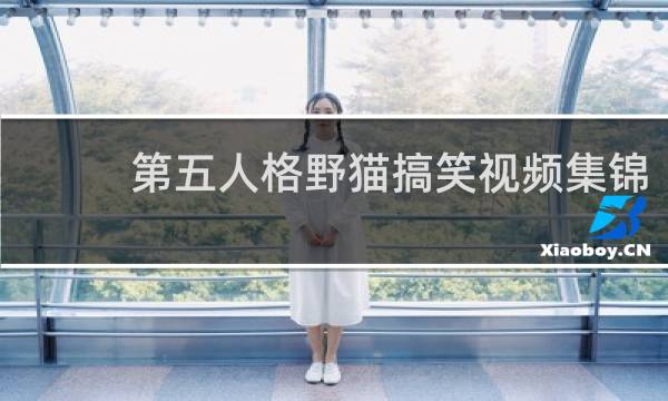 第五人格野猫搞笑视频集锦