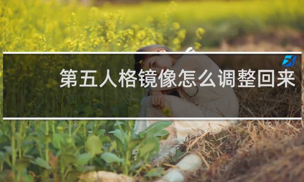 第五人格镜像怎么调整回来