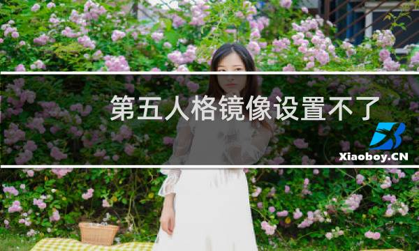 第五人格镜像设置不了