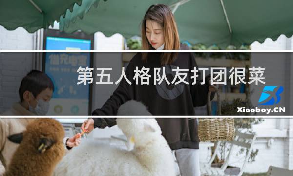 第五人格队友打团很菜