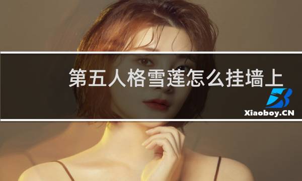 第五人格雪莲怎么挂墙上