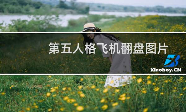 第五人格飞机翻盘图片