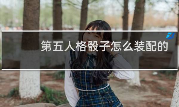 第五人格骰子怎么装配的