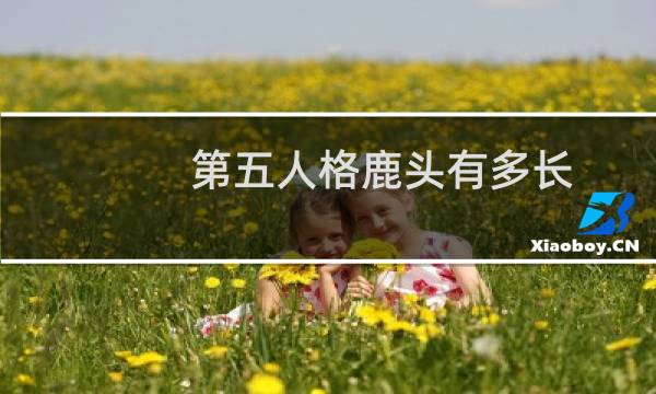 第五人格鹿头有多长