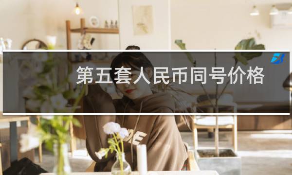 第五套人民币同号价格