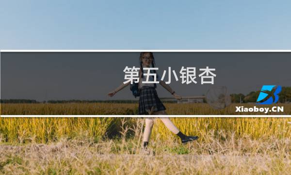 第五小银杏