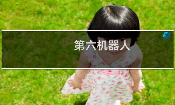 第六机器人