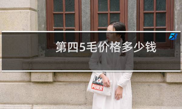 第四5毛价格多少钱