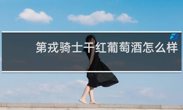 第戎骑士干红葡萄酒怎么样