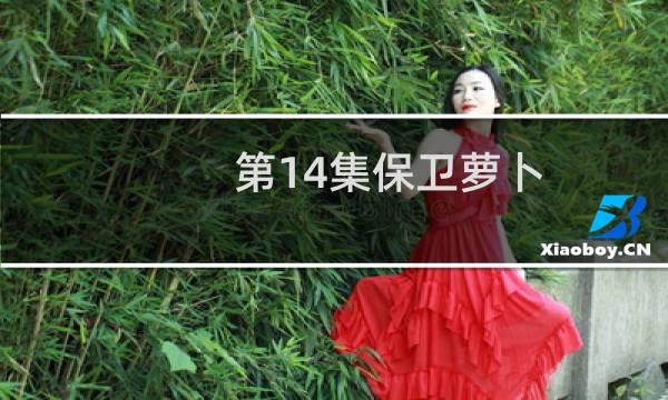 第14集保卫萝卜