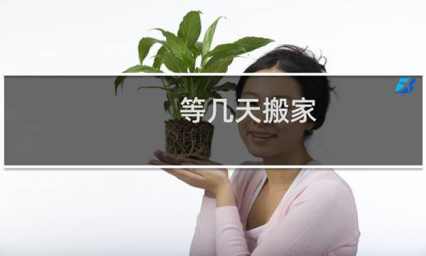等几天搬家