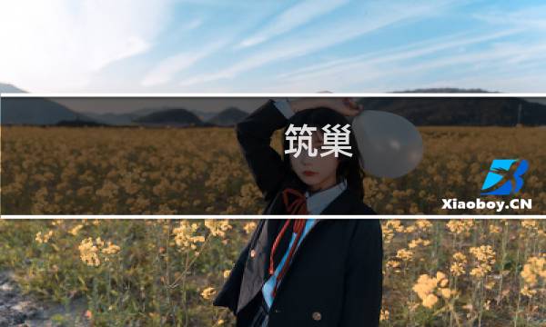 筑巢 龙攻略