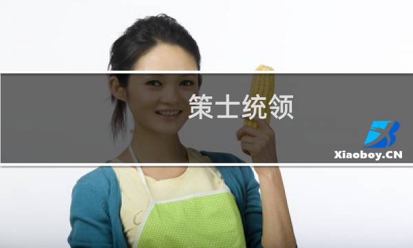 策士统领 攻略