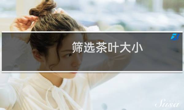筛选茶叶大小