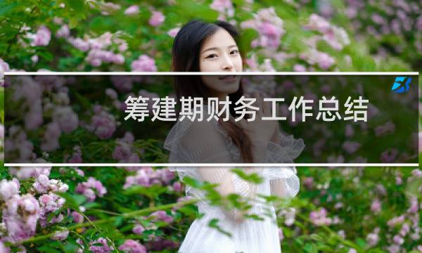 筹建期财务工作总结