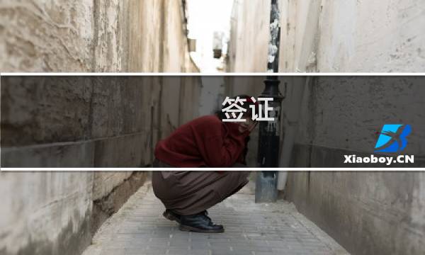 签证 美国