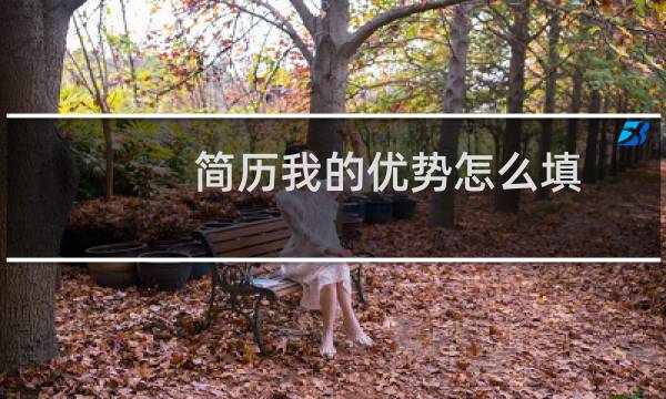 简历我的优势怎么填