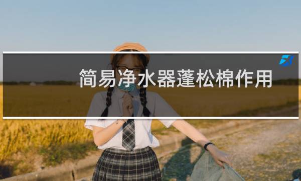 简易净水器蓬松棉作用