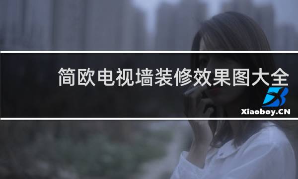 简欧电视墙装修效果图大全