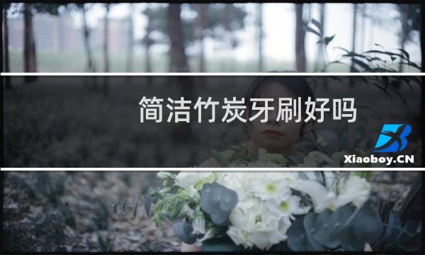 简洁竹炭牙刷好吗