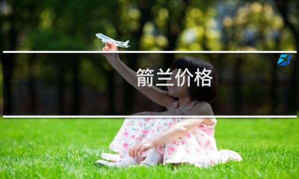 箭兰价格