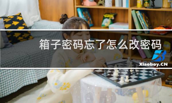 箱子密码忘了怎么改密码