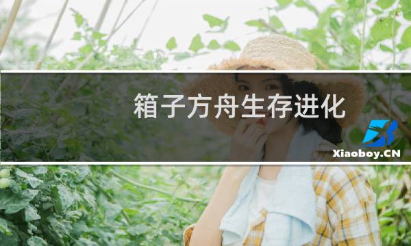 箱子方舟生存进化