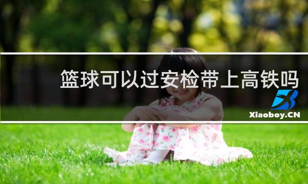 篮球可以过安检带上高铁吗