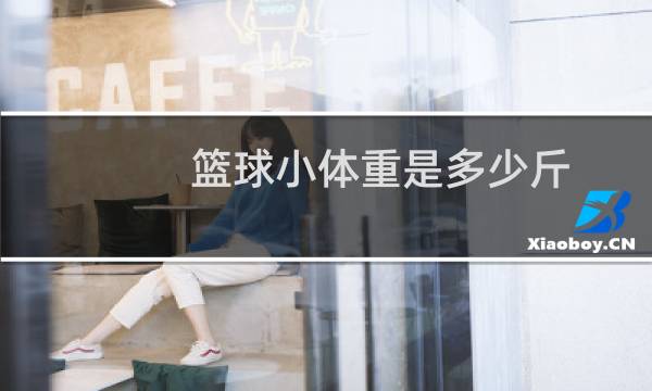 篮球小体重是多少斤