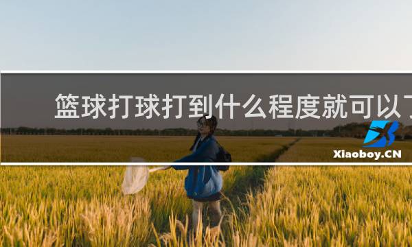 篮球打球打到什么程度就可以了