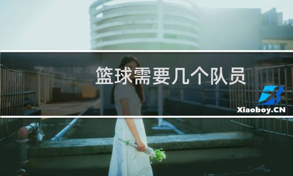篮球需要几个队员