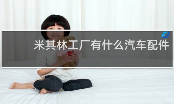 米其林工厂有什么汽车配件