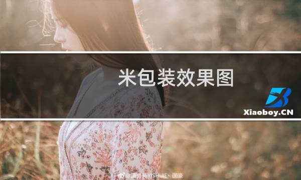 米包装效果图