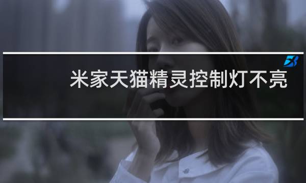 米家天猫精灵控制灯不亮