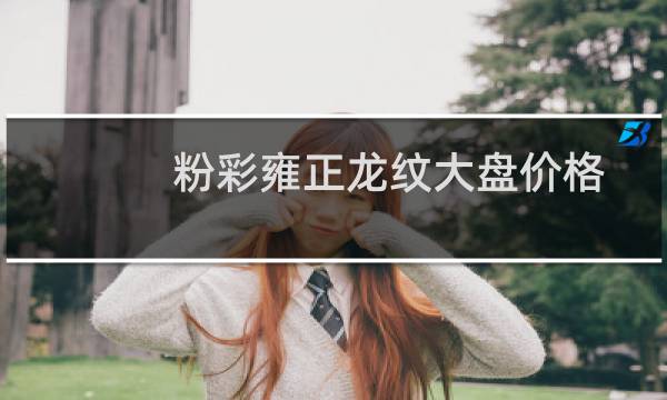 粉彩雍正龙纹大盘价格