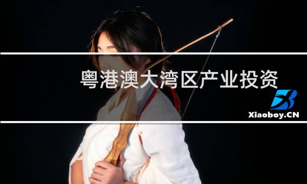 粤港澳大湾区产业投资