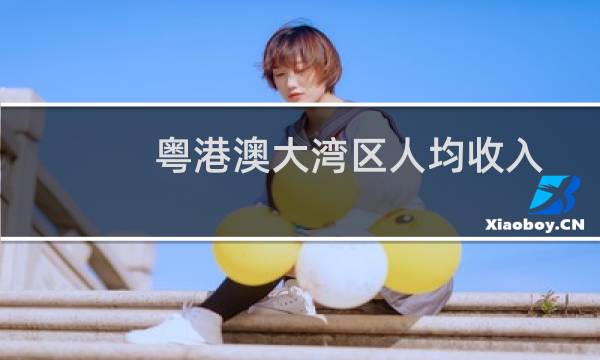 粤港澳大湾区人均收入