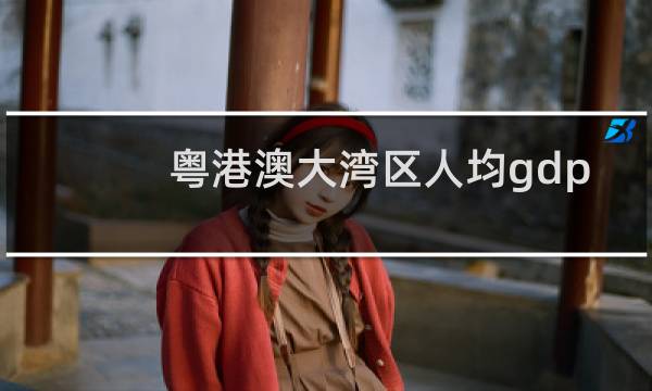 粤港澳大湾区人均gdp
