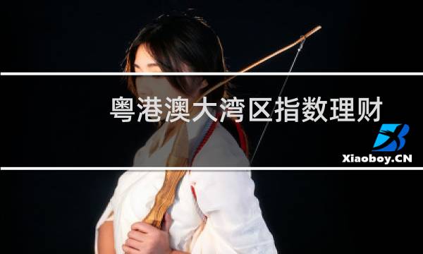 粤港澳大湾区指数理财