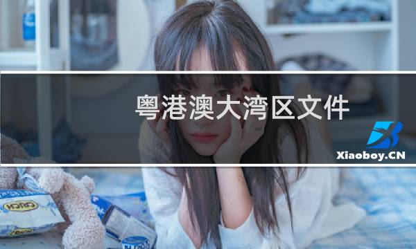 粤港澳大湾区文件