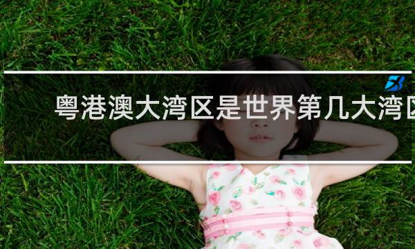 粤港澳大湾区是世界第几大湾区