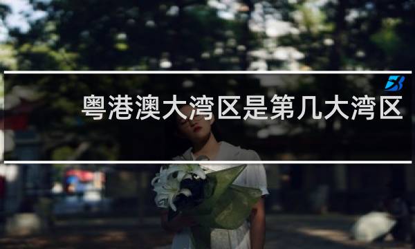粤港澳大湾区是第几大湾区