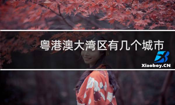 粤港澳大湾区有几个城市