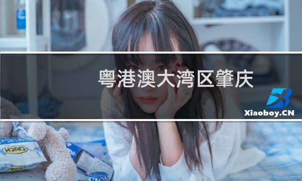 粤港澳大湾区肇庆
